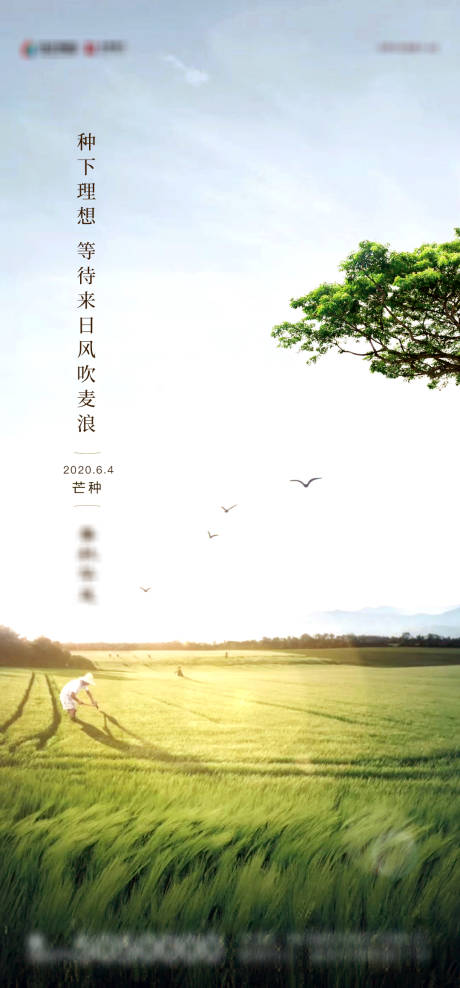 源文件下载【地产芒种节气移动端海报单图】编号：59820004904106449