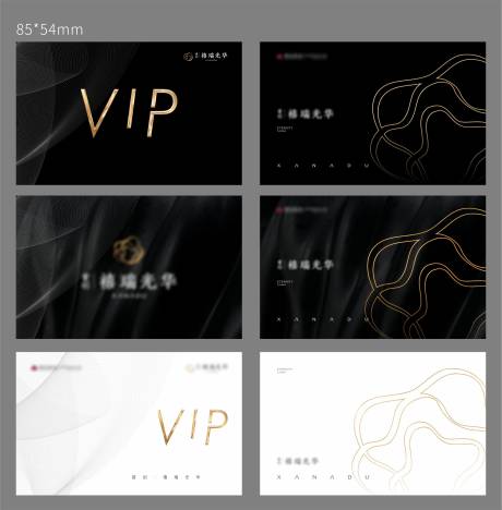 源文件下载【房地产黑金VIP卡】编号：47720004720277311