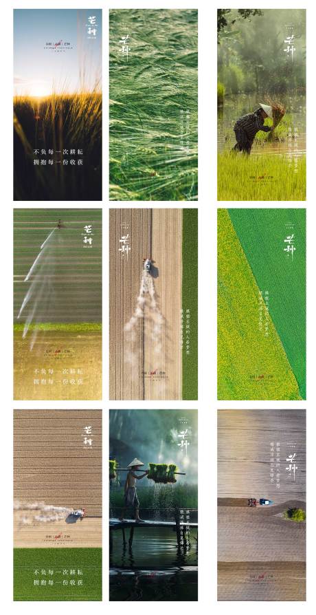 源文件下載【芒種節氣海報】編號：65200004788895509