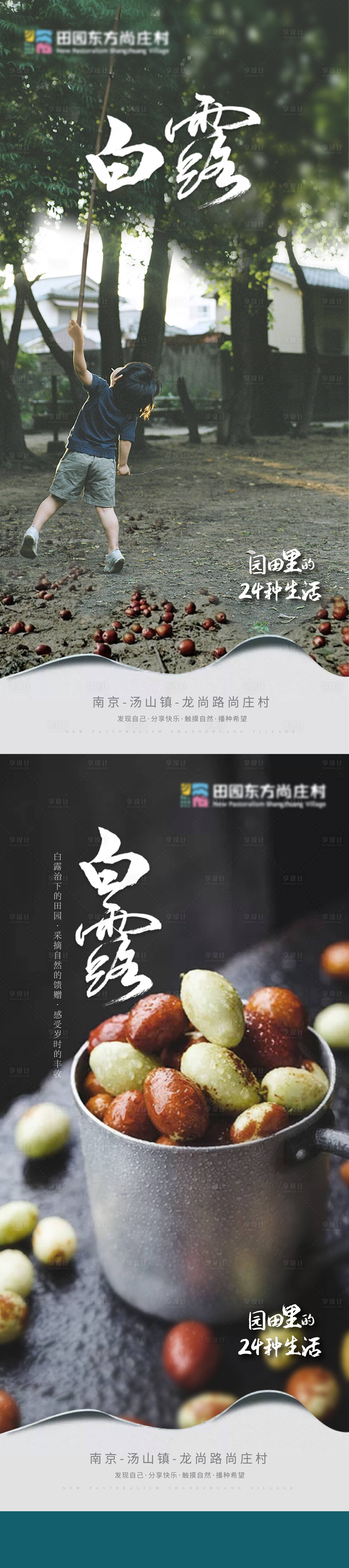 源文件下載【享設(shè)計(jì)】搜索編號(hào)：23640004551969587【白露系列海報(bào)】