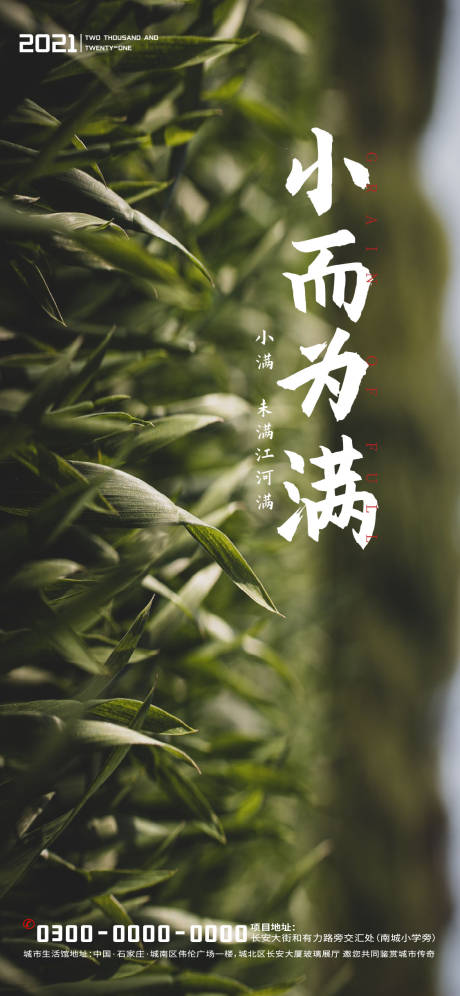 源文件下载【地产小满节日海报】编号：29890004742857750