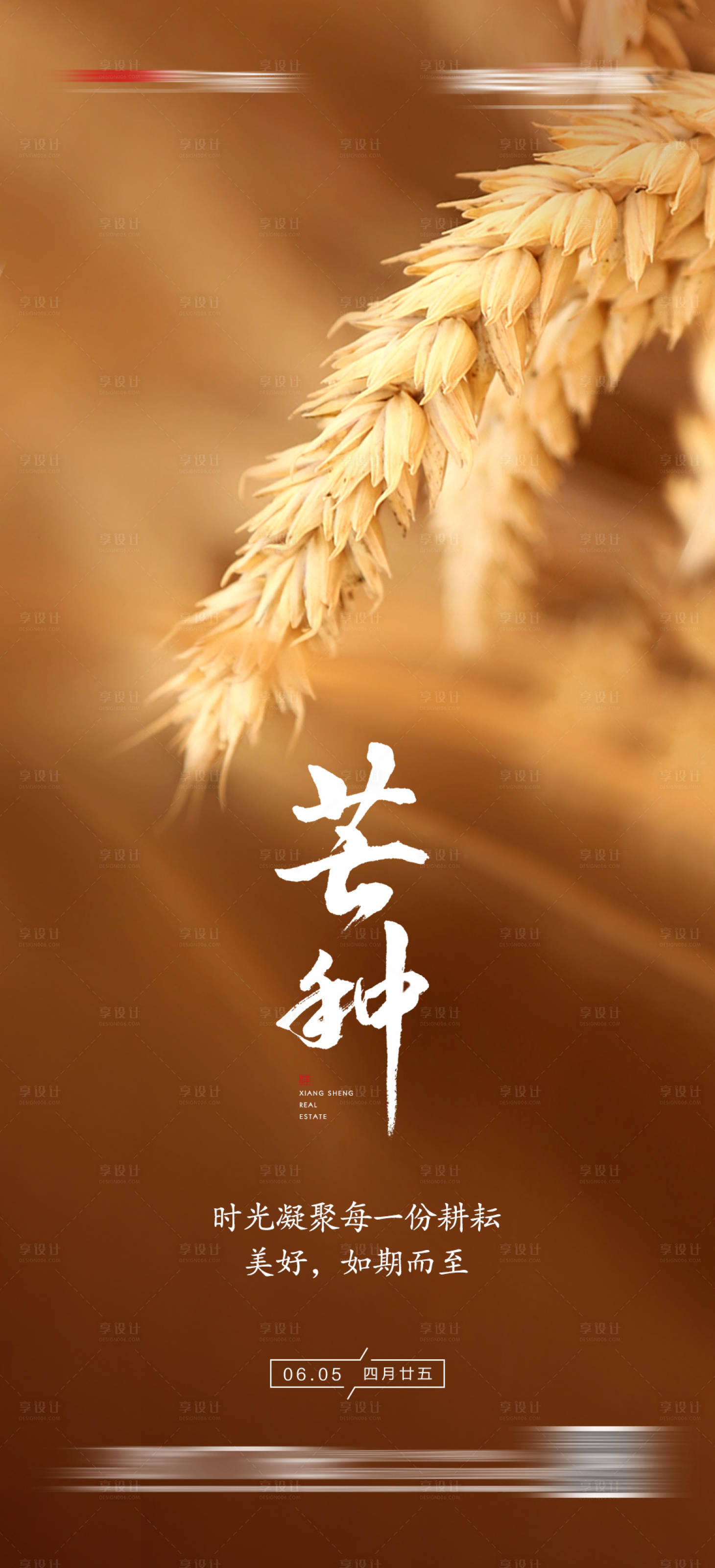 源文件下載【享設計】搜索編號：37770004892383917【芒種節(jié)氣海報】