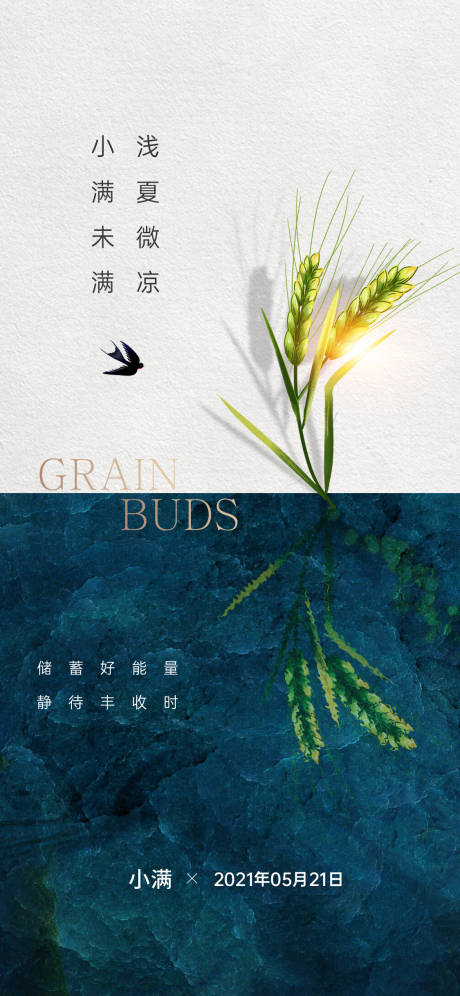 源文件下载【地产小满节气】编号：69900004762818684
