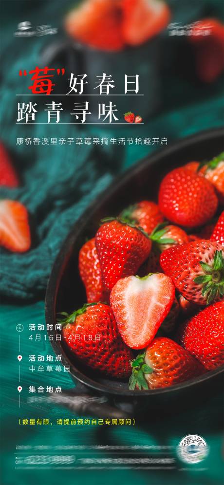 源文件下载【草莓】编号：23890004600074693
