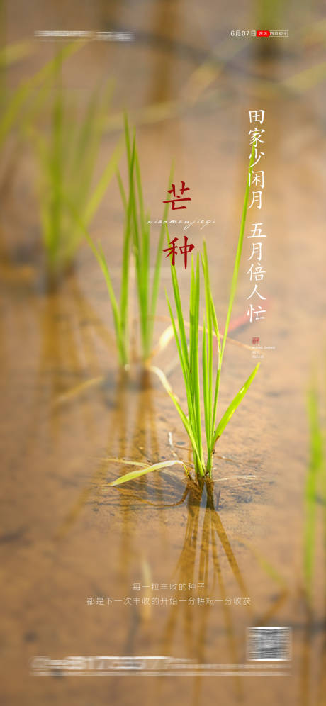 源文件下载【享设计】搜索编号：73110004819781963【地产小满节气海报】