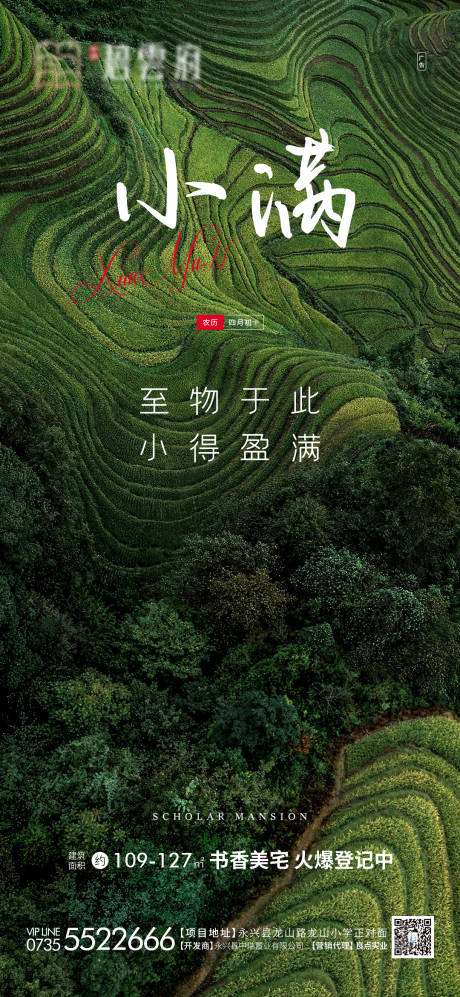 源文件下载【地产小满节气海报】编号：79960004638944085