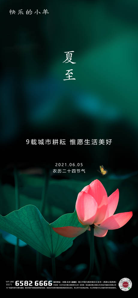 源文件下载【夏至节气海报】编号：68530004536946479