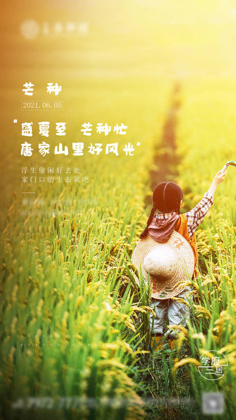 源文件下载【享设计】搜索编号：96620004816161791【房地产芒种节气节气海报】
