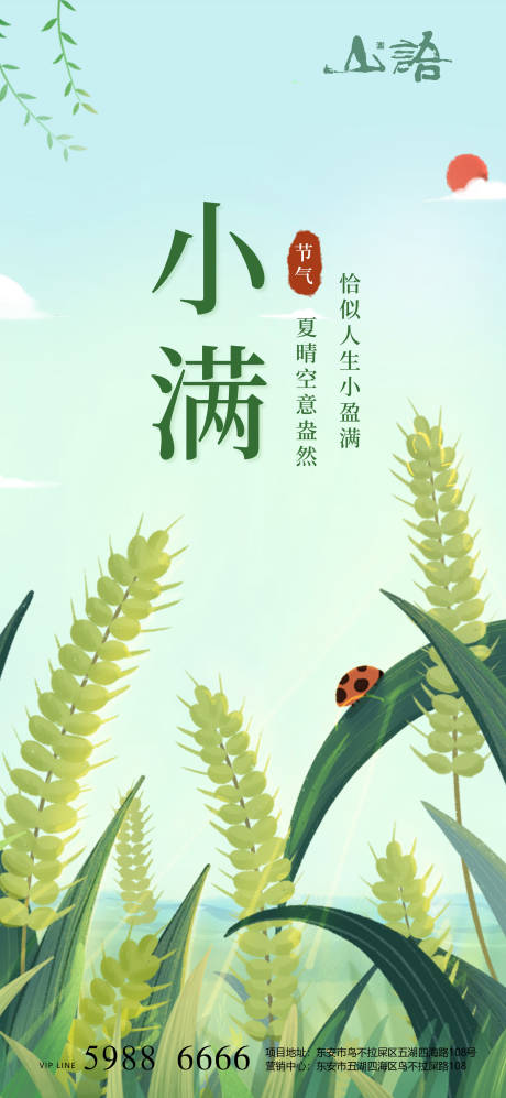 源文件下载【小满节气海报】编号：49050004576762194