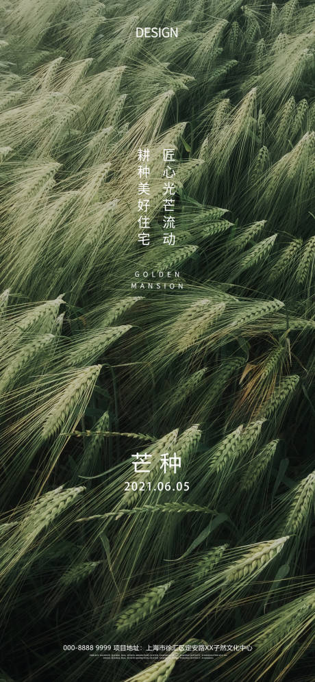 源文件下载【芒种节气海报】编号：84500004973107914
