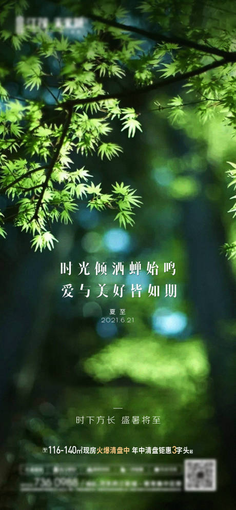 源文件下载【夏至节气海报】编号：31890005316103844