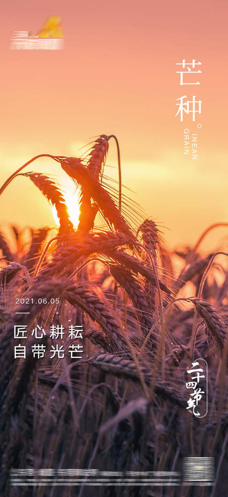 源文件下載【地產芒種節氣海報】編號：26680004934892223