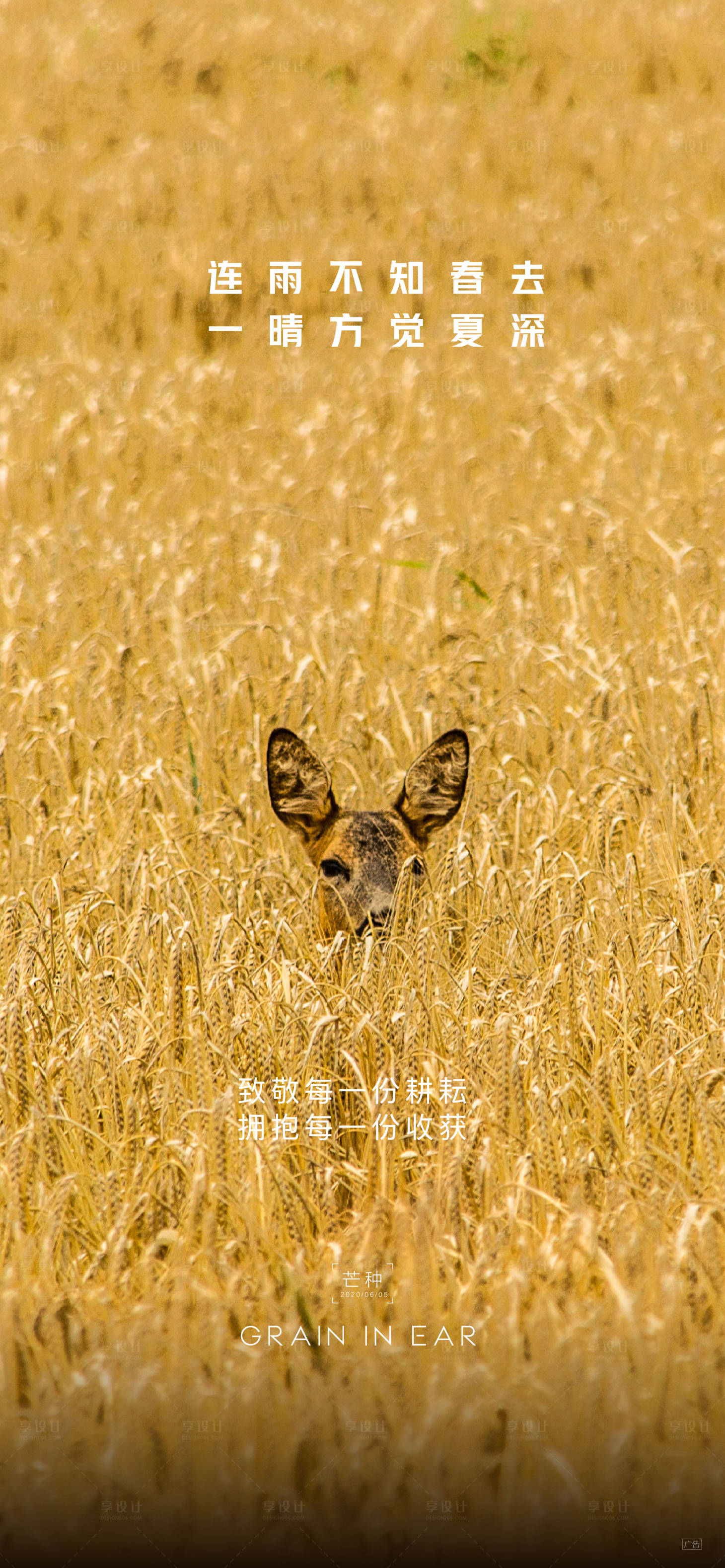 源文件下载【享设计】搜索编号：32930004998928415【芒种】