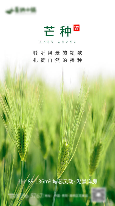 源文件下載【享設(shè)計(jì)】搜索編號(hào)：88180004974087189【芒種節(jié)氣海報(bào)】