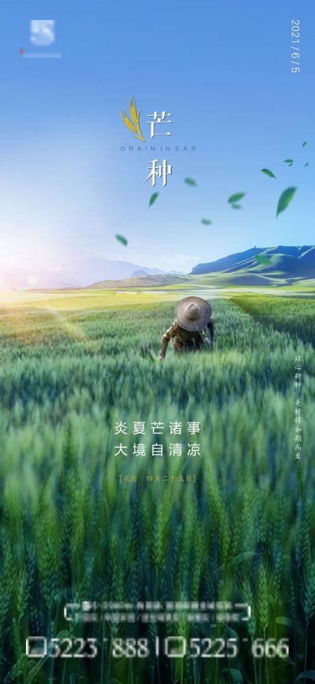 源文件下载【芒种节气海报】编号：38490005215278098