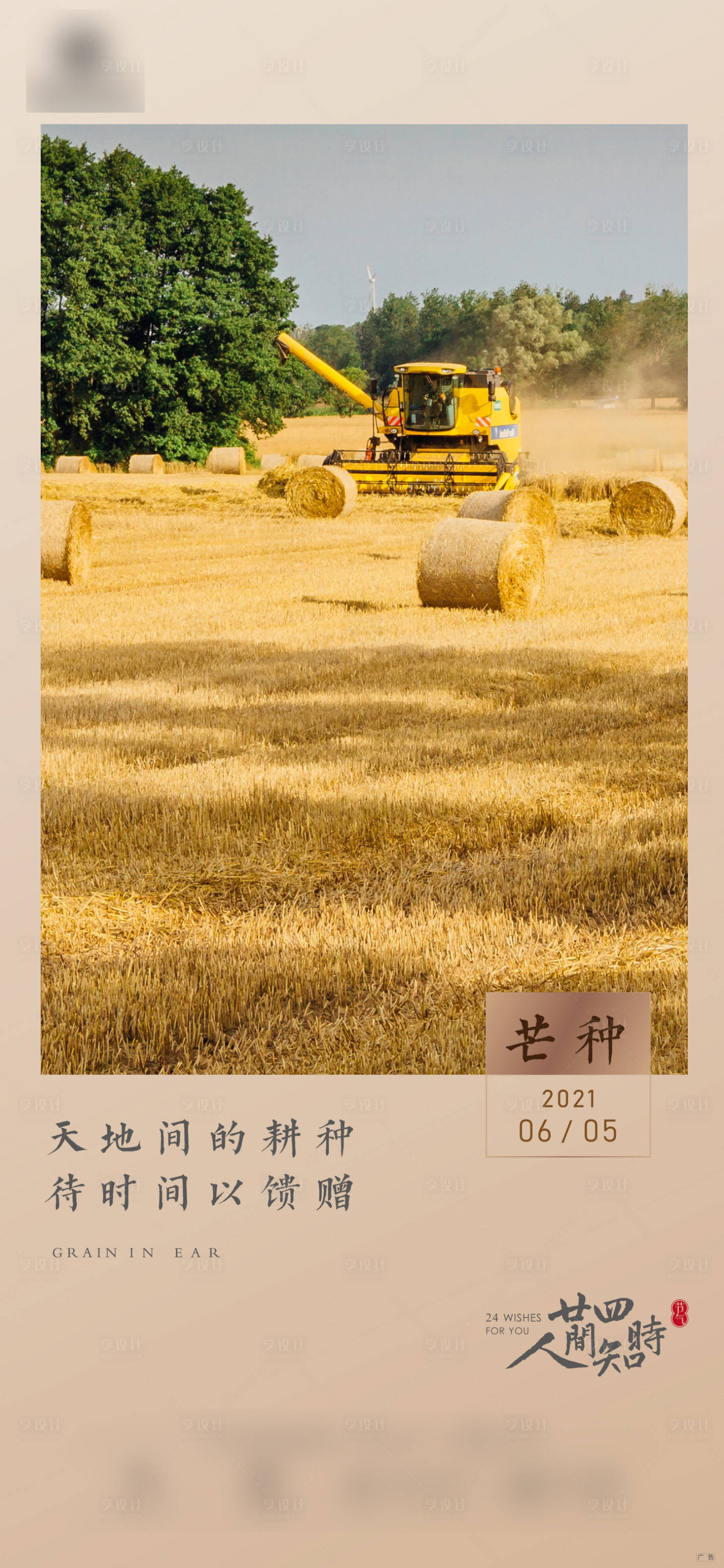 源文件下载【芒种 】编号：30880005202003400