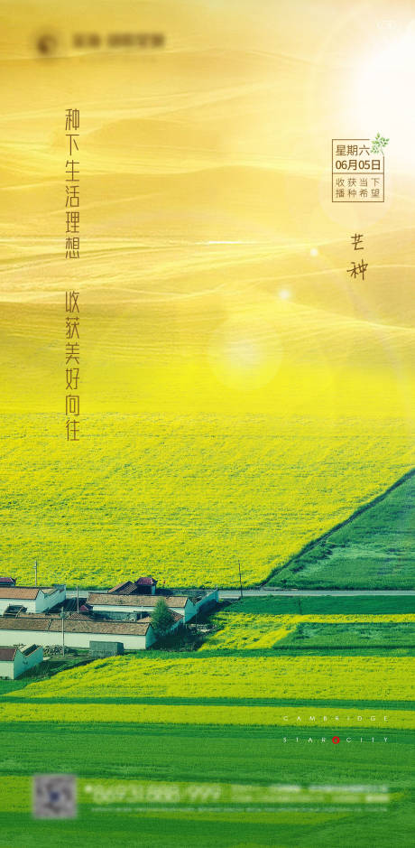 源文件下載【地產芒種節氣海報】編號：25390004936241690