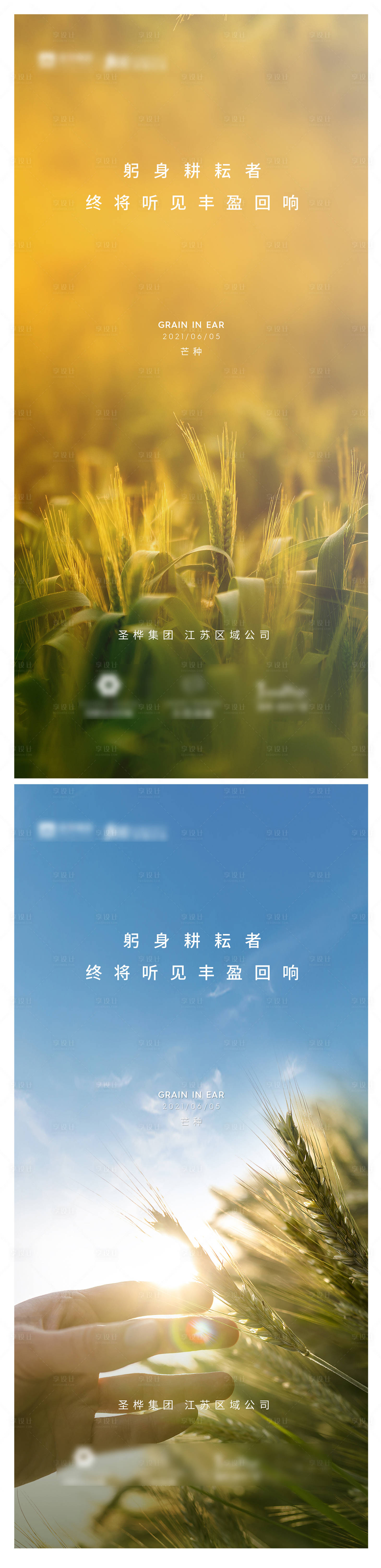 源文件下載【享設計】搜索編號：43910005001824602【芒種節氣系列海報】