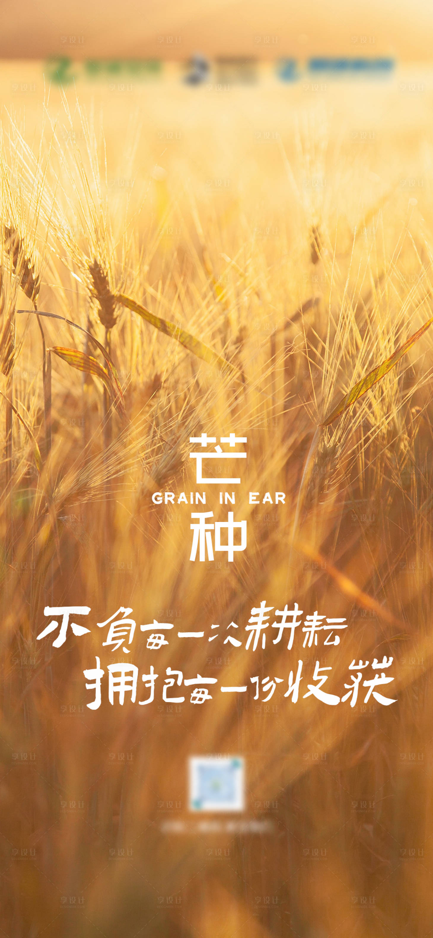 源文件下载【享设计】搜索编号：60710004972242090【芒种海报】