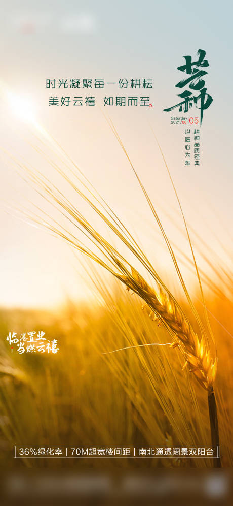 源文件下载【地产芒种节气单图】编号：61610004986527498