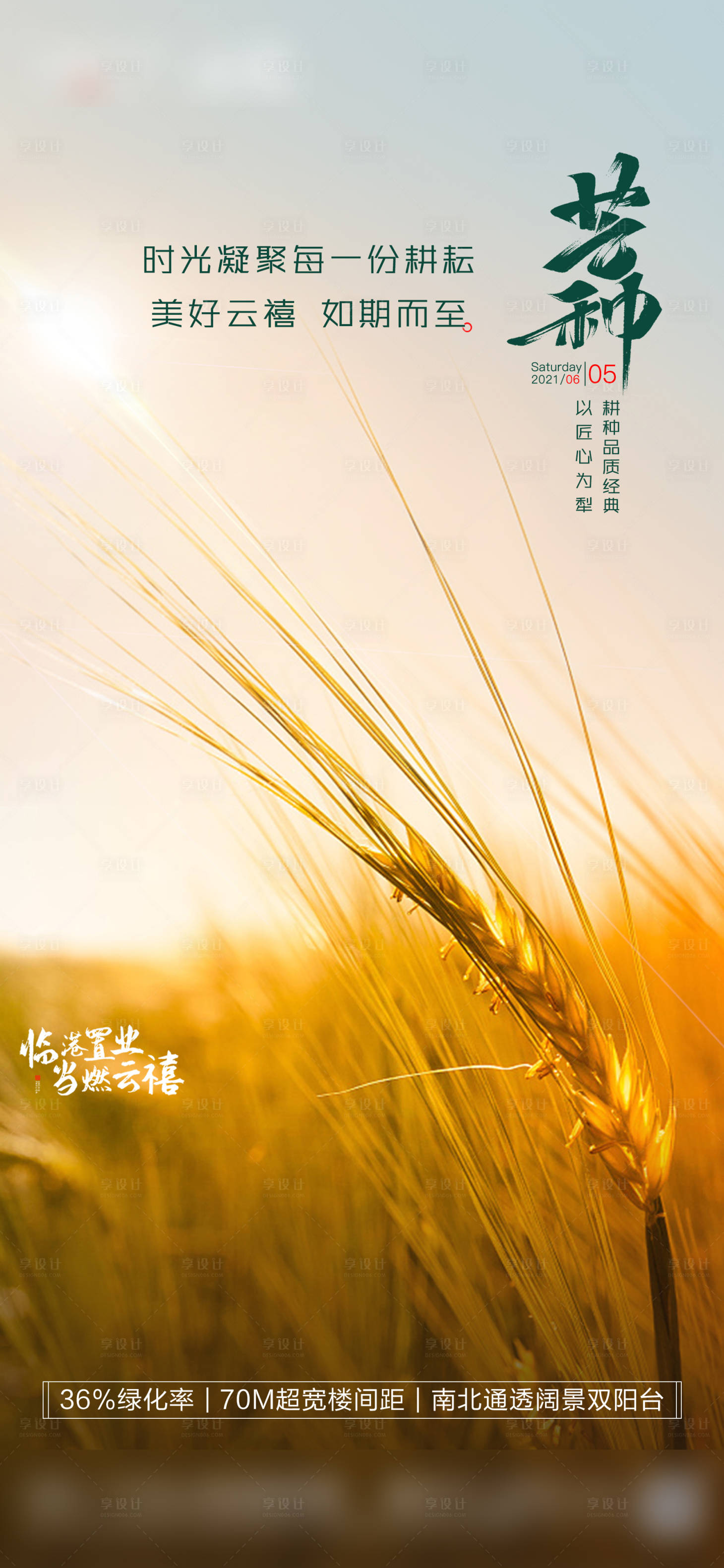 源文件下載【地產芒種節氣單圖】編號：61610004986527498