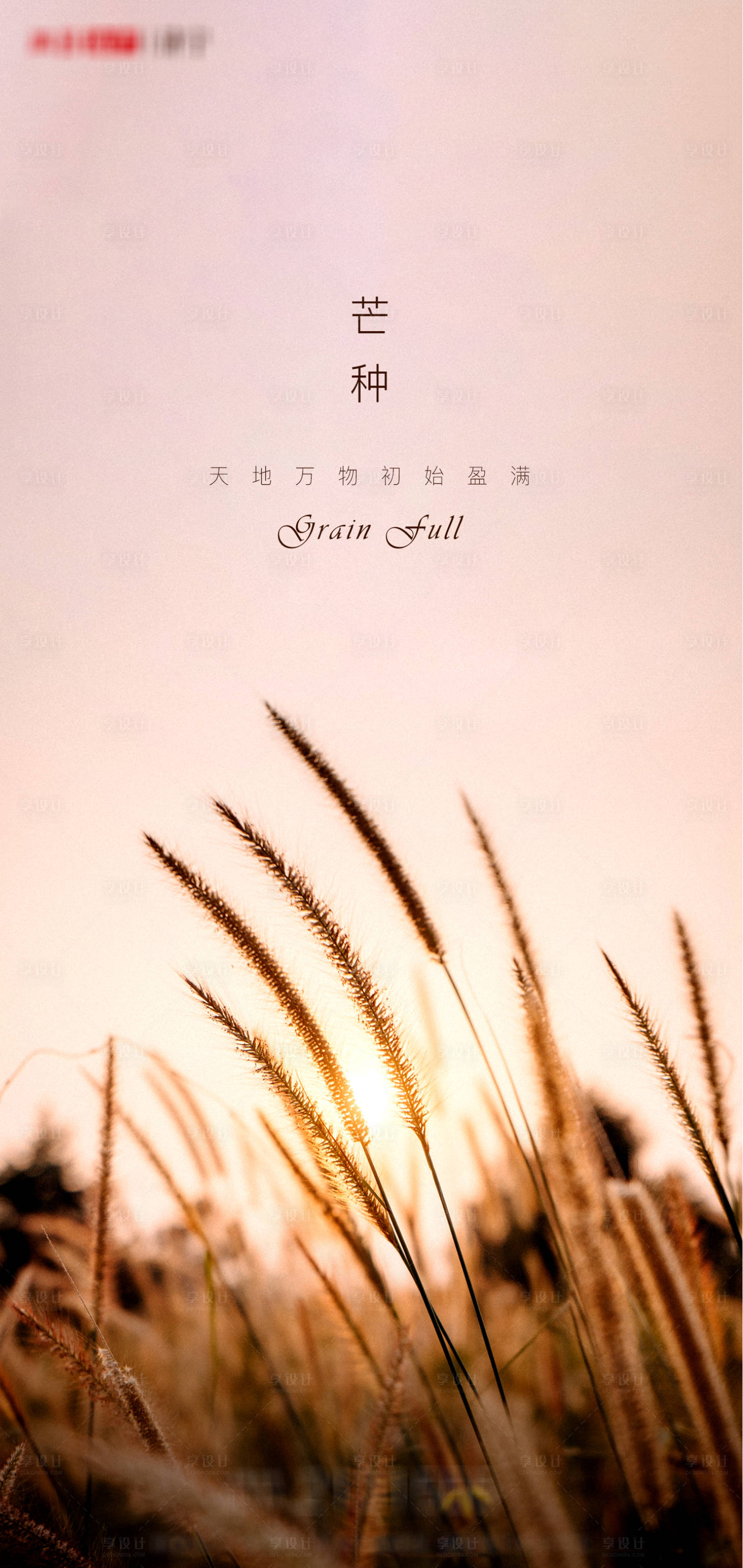 源文件下載【享設(shè)計(jì)】搜索編號(hào)：69770004990618948【地產(chǎn)芒種節(jié)氣移動(dòng)端海報(bào)單圖】