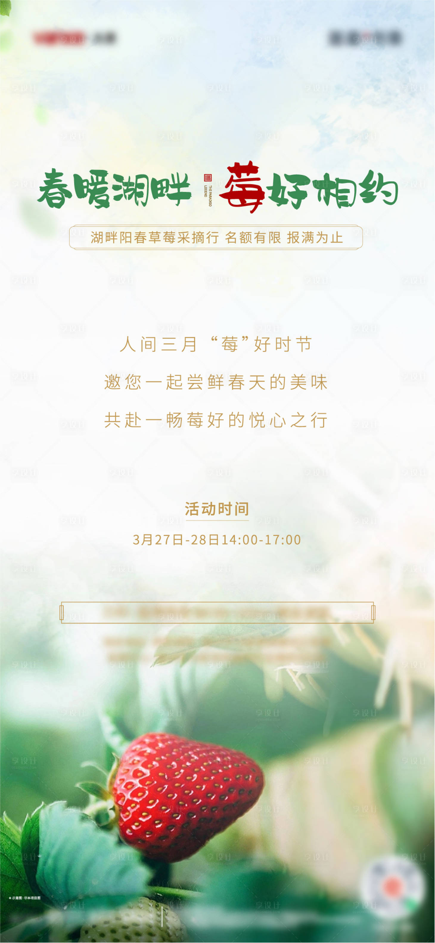 源文件下载【享设计】搜索编号：12430005356594648【草莓采摘海报】