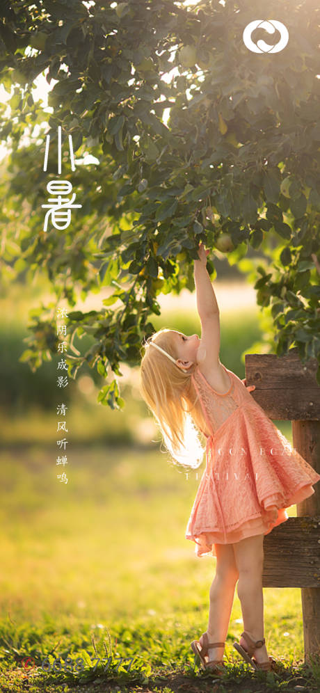 源文件下载【24节气二十四节气夏至小暑大暑处暑】编号：81610005111829656