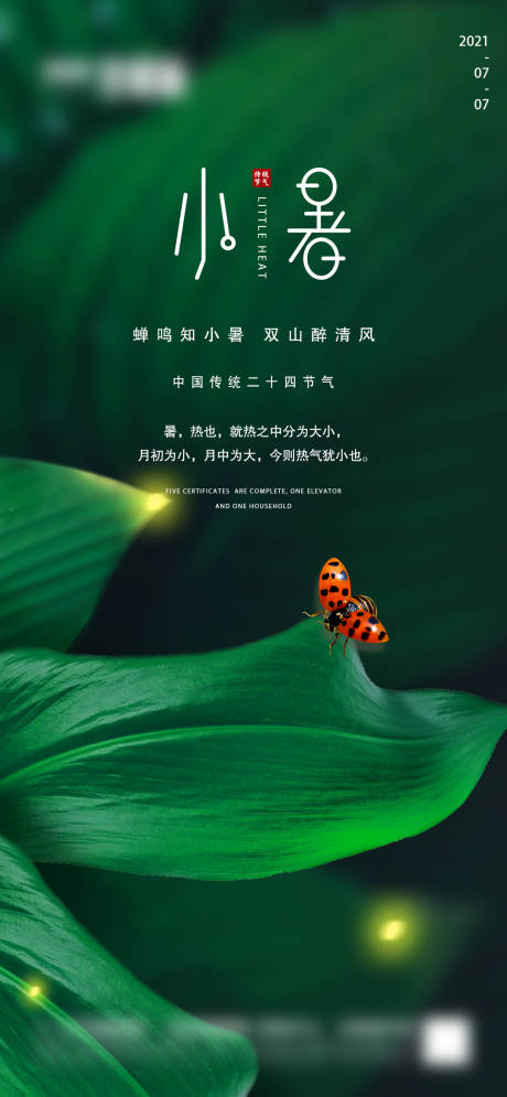 源文件下载【小暑节气移动端海报】编号：50140005288543782