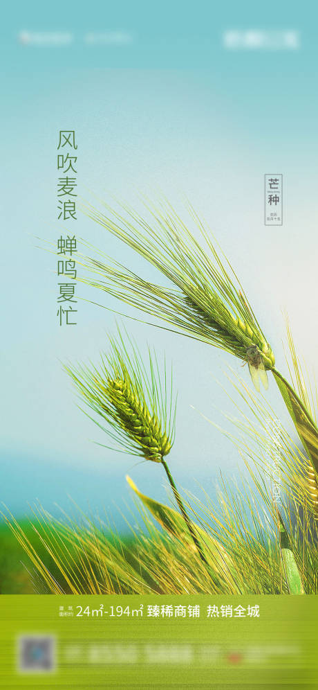 源文件下载【芒种节气刷屏海报】编号：96080005010247497