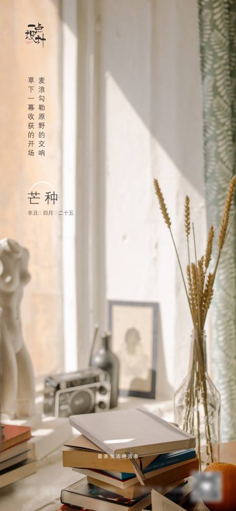 源文件下载【芒种节气海报】编号：46660004952786283