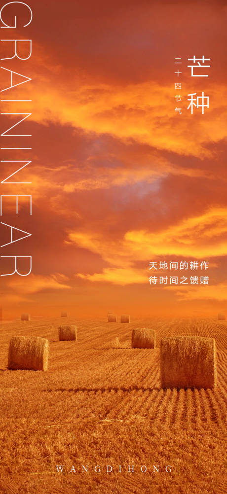 源文件下载【芒种节气海报】编号：32100004975395413
