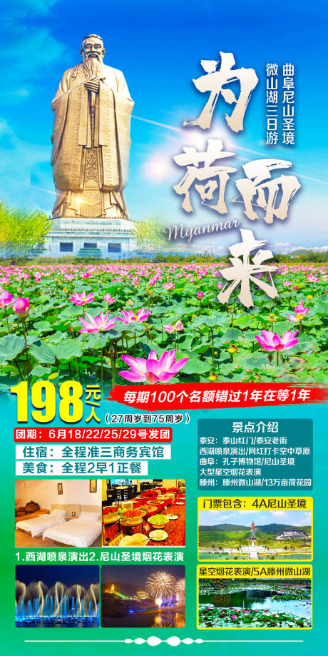 源文件下载【山东赏荷旅游海报】编号：20210630105259159