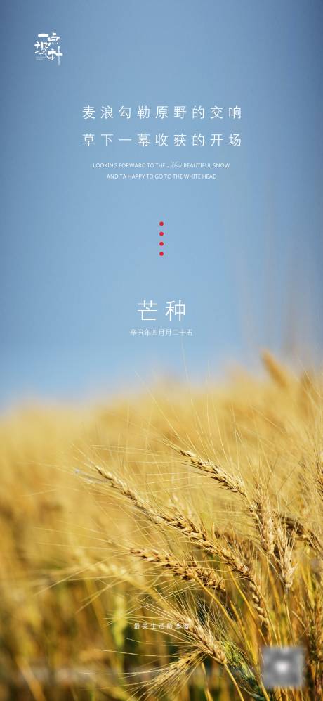 源文件下载【地产芒种节气海报】编号：41420004952794478