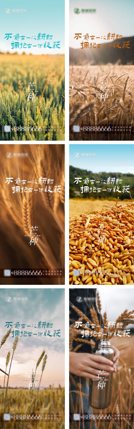 源文件下载【24节气芒种海报】编号：37730004943144263
