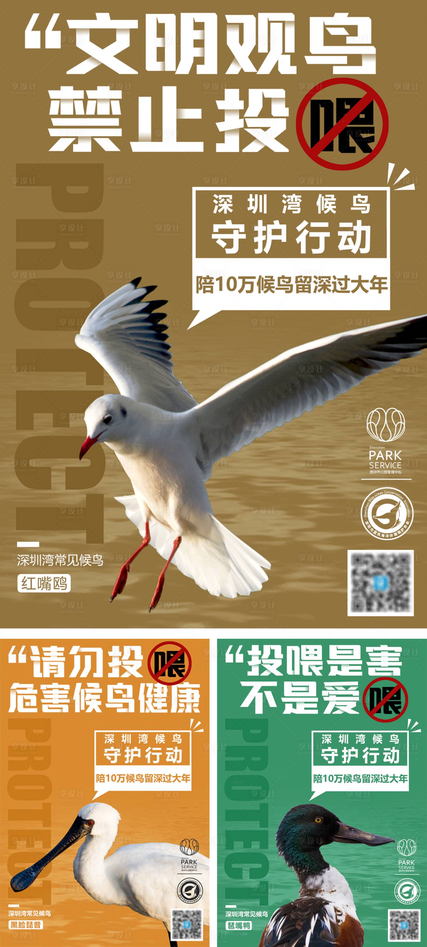 源文件下载【保护候鸟系列公益海报】编号：65320005226735138