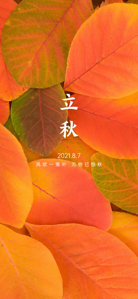 源文件下载【享设计】搜索编号：62060005042186909【立秋海报】