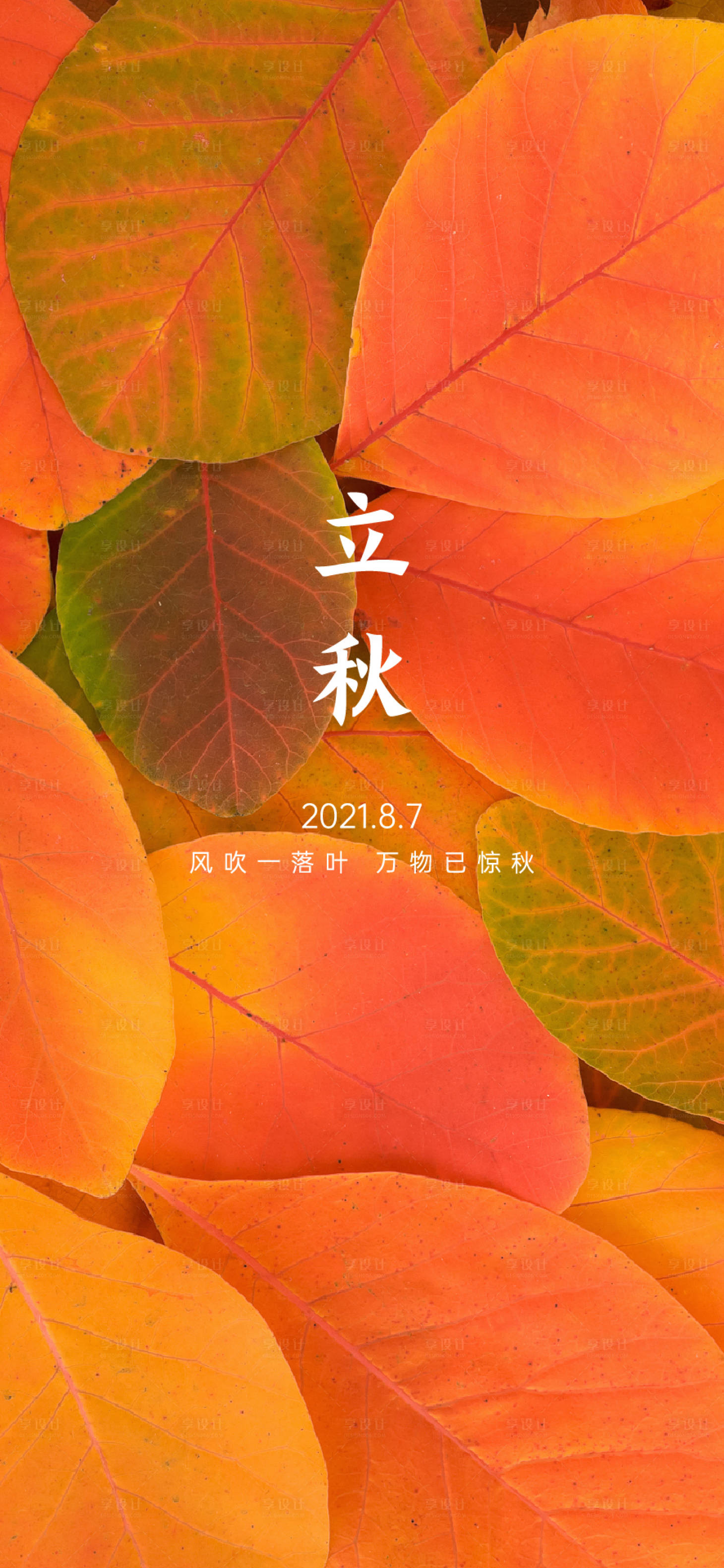 源文件下载【享设计】搜索编号：62060005042186909【立秋海报】