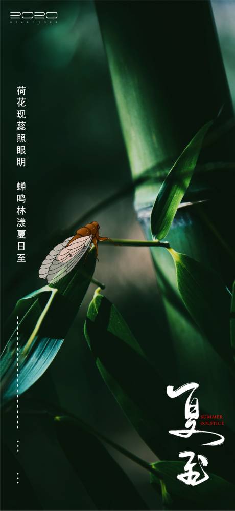源文件下載【享設(shè)計(jì)】搜索編號(hào)：80080004953266109【夏至節(jié)氣海報(bào)】