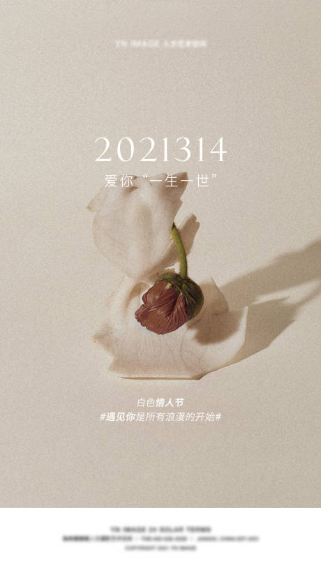 源文件下载【白色情人节节日海报】编号：99530005064759082