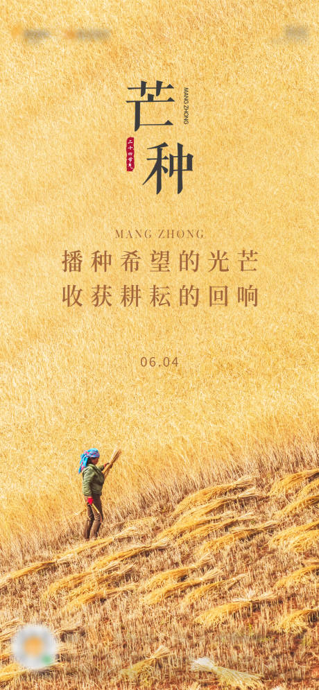 源文件下载【二十四节气芒种海报】编号：72560004994281400