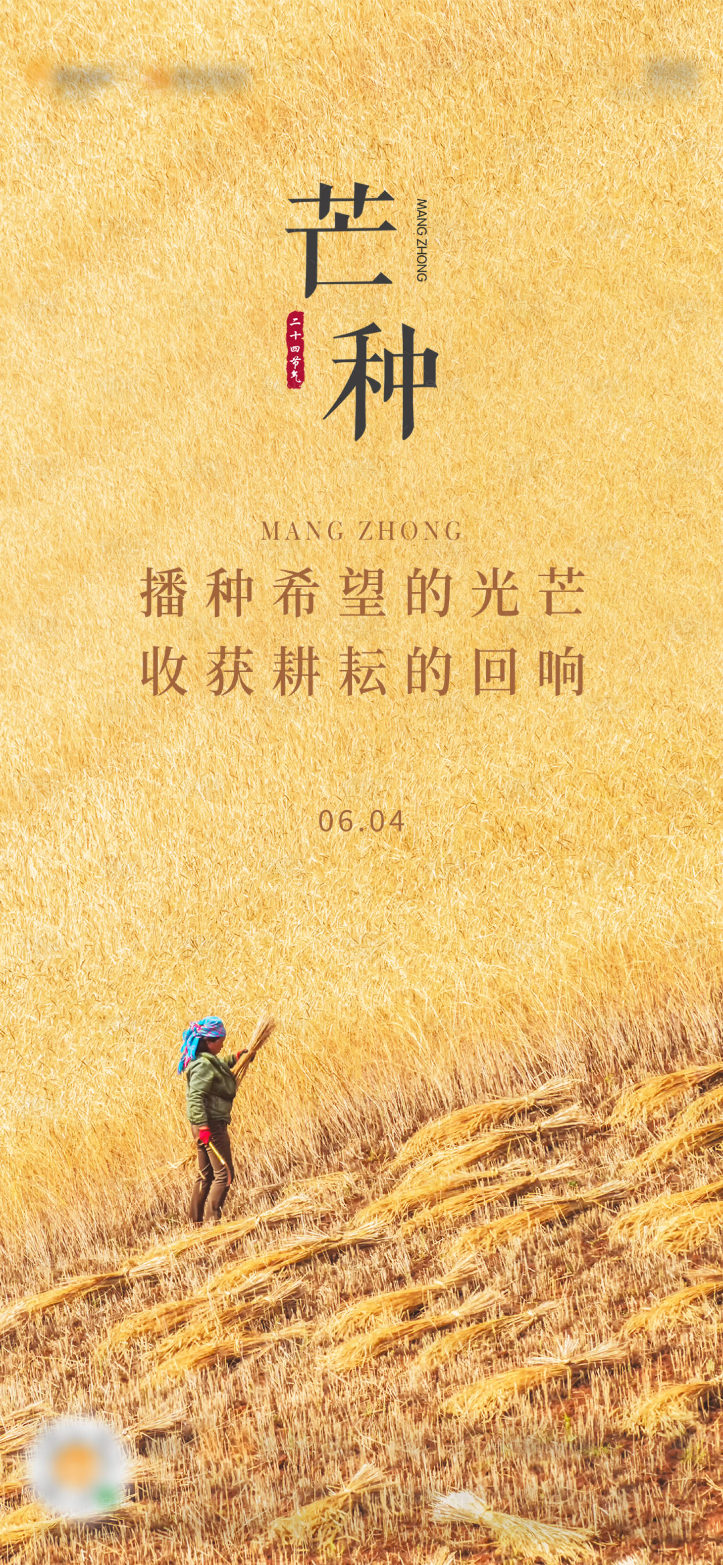 源文件下载【二十四节气芒种海报】编号：72560004994281400