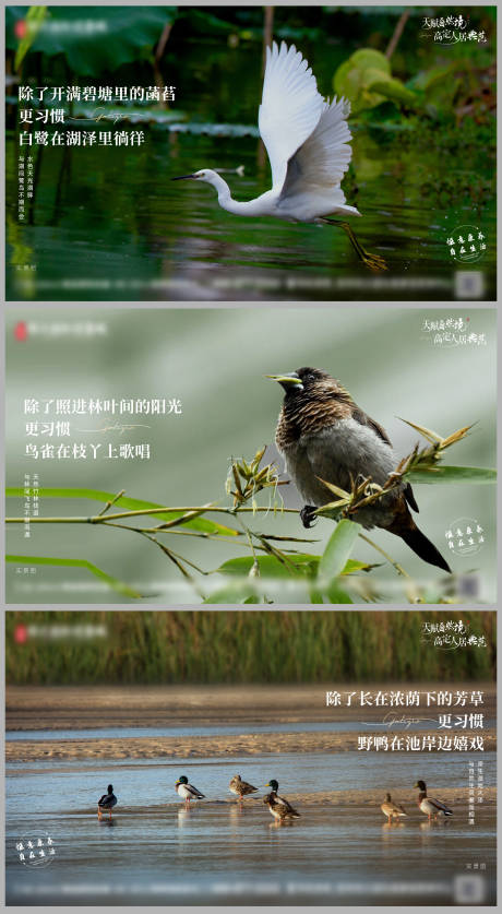 源文件下载【享设计】搜索编号：49940005353978969【生态环境价值点】