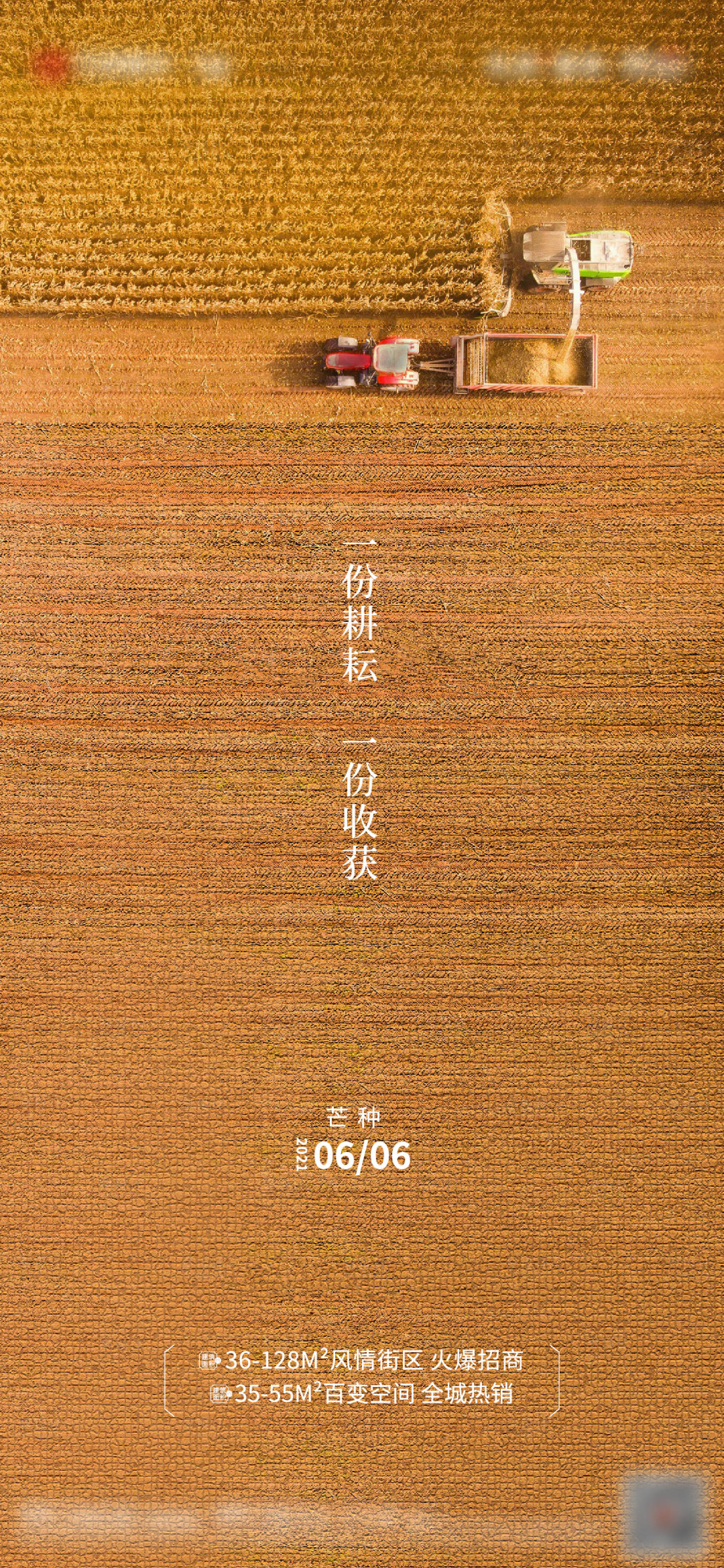 源文件下載【享設計】搜索編號：41350004987075373【地產芒種節氣單圖】
