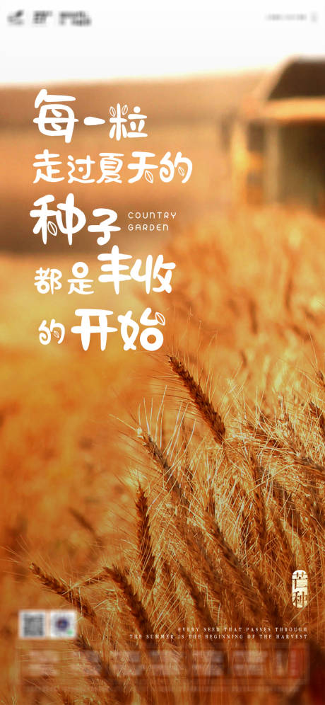 源文件下载【芒种海报】编号：41180004956555556