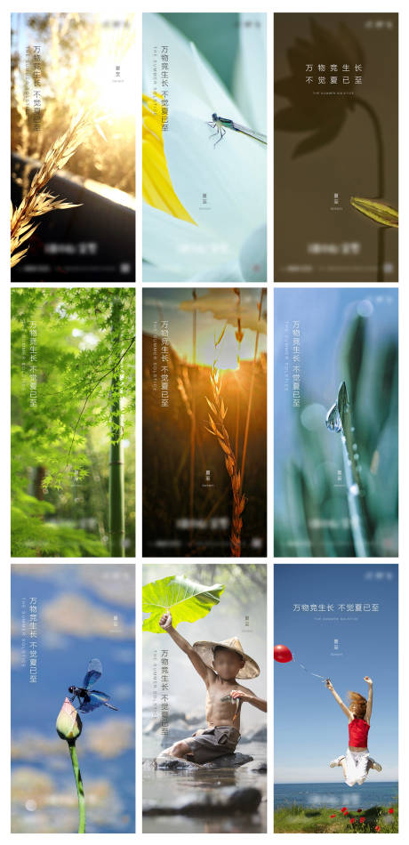 源文件下载【享设计】搜索编号：77020005139283931【夏至节气海报】