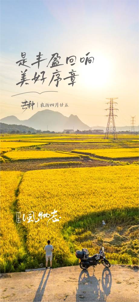 源文件下载【芒种】编号：91560004961624465