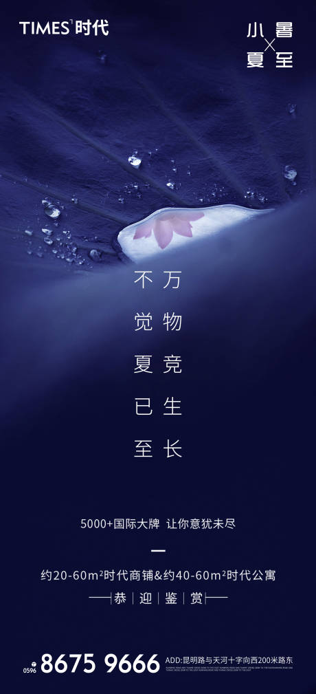 源文件下载【地产小暑夏至海报】编号：63770005201321853