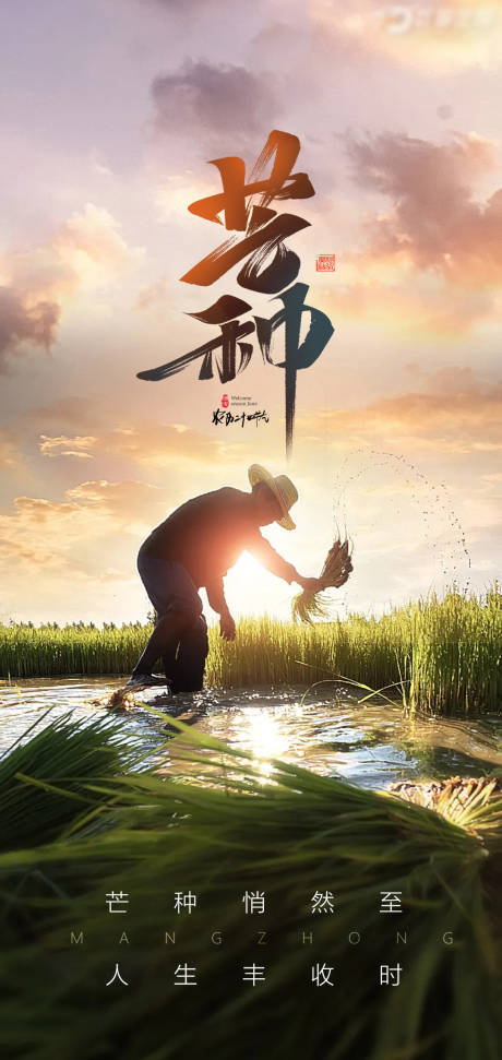 源文件下载【芒种海报】编号：89290005055425157