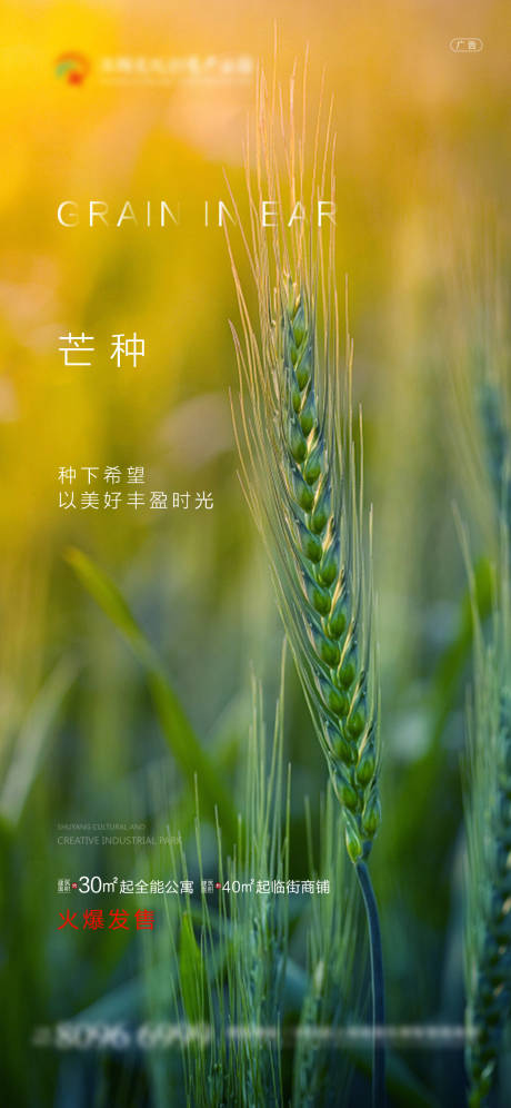 源文件下載【芒種】編號：92490004959631003